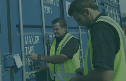 Revisión Ocular de la Mercancía